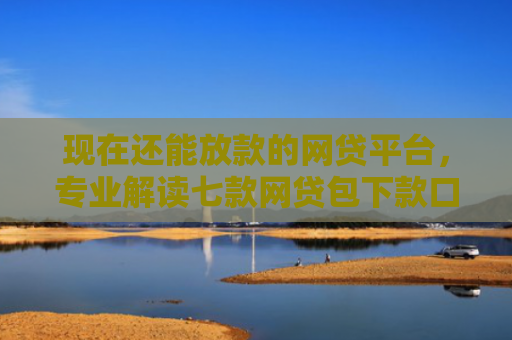 现在还能放款的网贷平台，专业解读七款网贷包下款口子