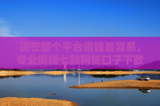 现在那个平台借钱最容易，专业概括七款网贷口子下款技术