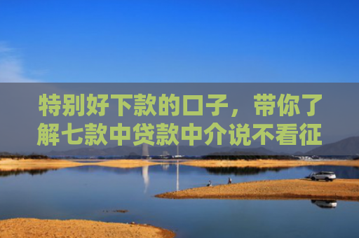 特别好下款的口子，带你了解七款中贷款中介说不看征信直接下款