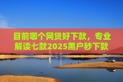 目前哪个网贷好下款，专业解读七款2025黑户秒下款的APP