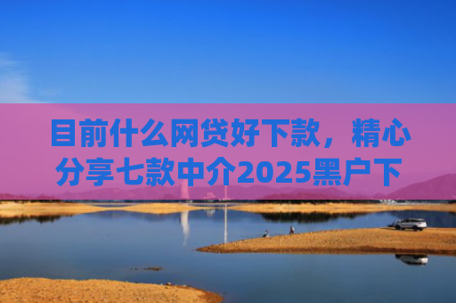 目前什么网贷好下款，精心分享七款中介2025黑户下款app