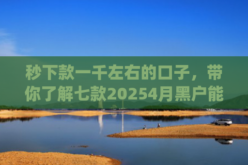秒下款一千左右的口子，带你了解七款20254月黑户能下款app