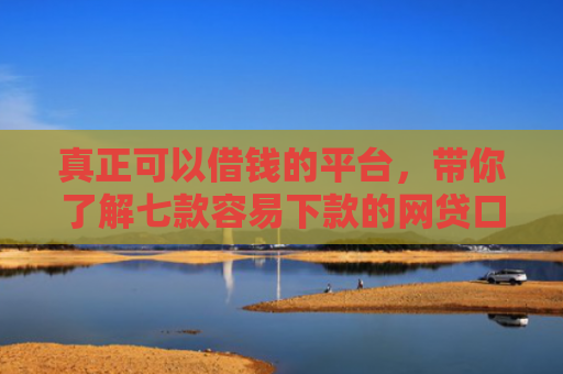 真正可以借钱的平台，带你了解七款容易下款的网贷口子高