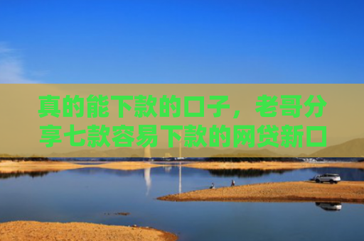 真的能下款的口子，老哥分享七款容易下款的网贷新口子