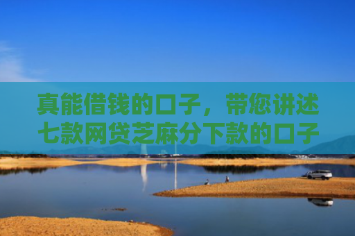 真能借钱的口子，带您讲述七款网贷芝麻分下款的口子
