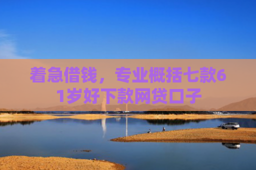 着急借钱，专业概括七款61岁好下款网贷口子