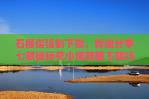 石榴借强制下款，精细分享七款征信花小贷款能下款吗