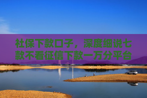 社保下款口子，深度细说七款不看征信下款一万分平台