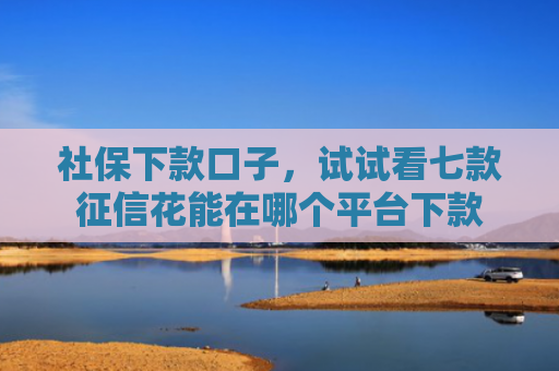 社保下款口子，试试看七款征信花能在哪个平台下款