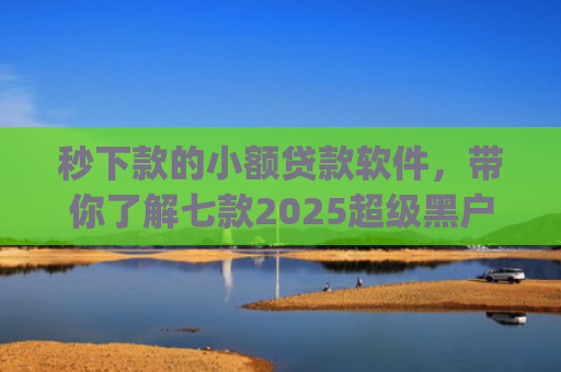 秒下款的小额贷款软件，带你了解七款2025超级黑户下款app