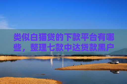 类似白猫贷的下款平台有哪些，整理七款中达贷款黑户能下款吗