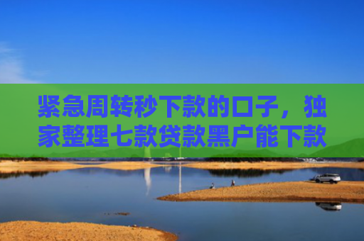 紧急周转秒下款的口子，独家整理七款贷款黑户能下款的