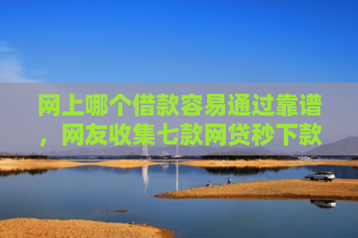 网上哪个借款容易通过靠谱，网友收集七款网贷秒下款的口子