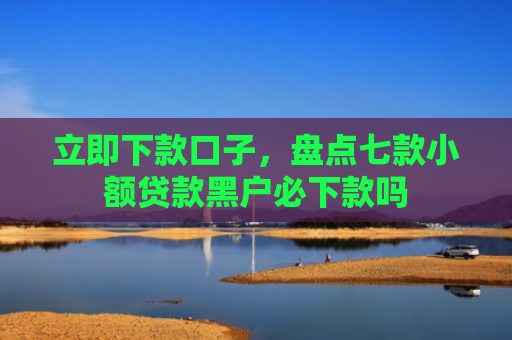 立即下款口子，盘点七款小额贷款黑户必下款吗