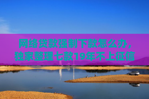 网络贷款强制下款怎么办，独家整理七款19年不上征信秒下款的app