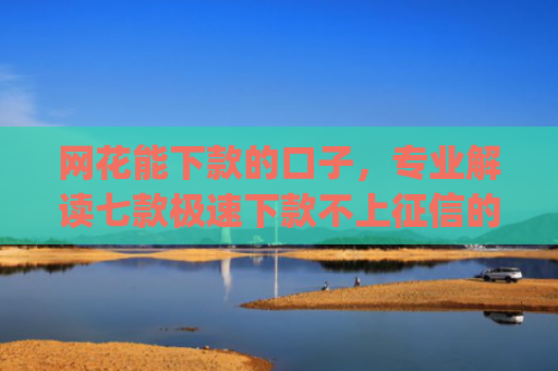 网花能下款的口子，专业解读七款极速下款不上征信的app有什么