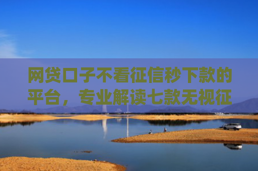 网贷口子不看征信秒下款的平台，专业解读七款无视征信秒下款的app