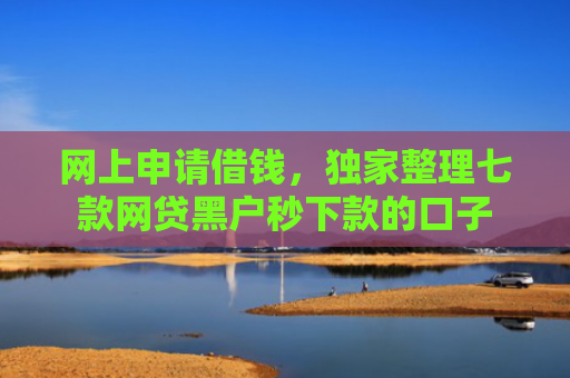 网上申请借钱，独家整理七款网贷黑户秒下款的口子
