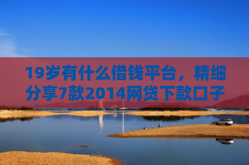 19岁有什么借钱平台，精细分享7款2014网贷下款口子