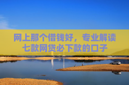 网上那个借钱好，专业解读七款网贷必下款的口子