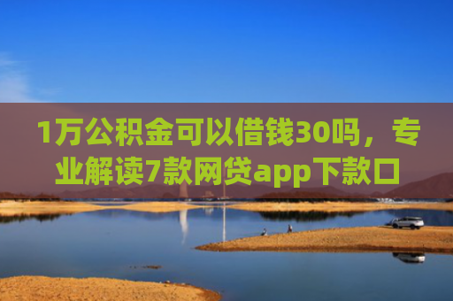1万公积金可以借钱30吗，专业解读7款网贷app下款口子