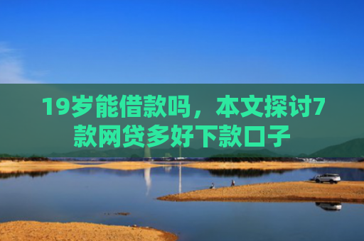 19岁能借款吗，本文探讨7款网贷多好下款口子