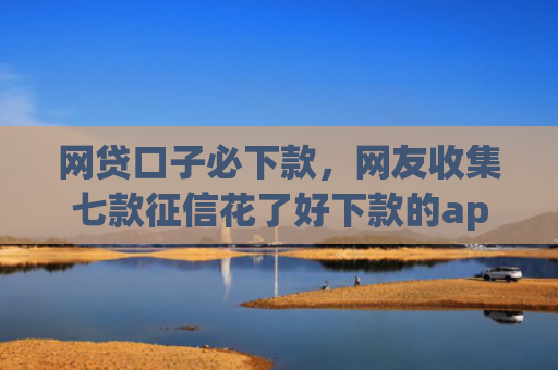 网贷口子必下款，网友收集七款征信花了好下款的app
