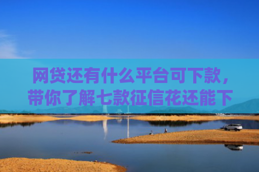网贷还有什么平台可下款，带你了解七款征信花还能下款的app