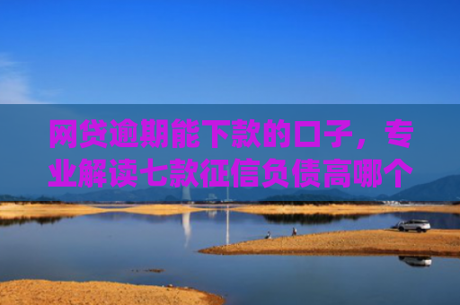 网贷逾期能下款的口子，专业解读七款征信负债高哪个平台好下款app