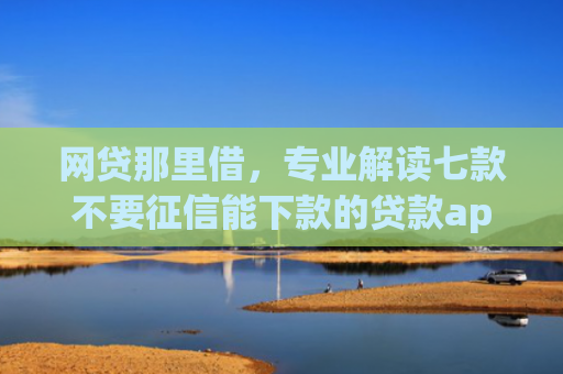 网贷那里借，专业解读七款不要征信能下款的贷款app