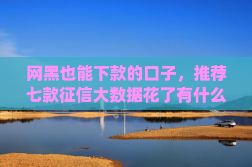 网黑也能下款的口子，推荐七款征信大数据花了有什么app能下款
