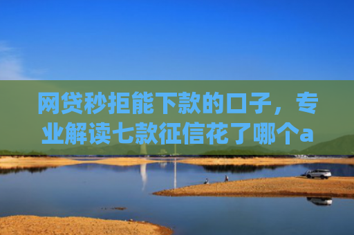 网贷秒拒能下款的口子，专业解读七款征信花了哪个app可以下款