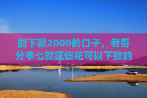 能下款2000的口子，老哥分享七款征信花可以下款的网贷app