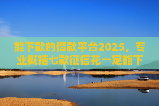 能下款的借款平台2025，专业概括七款征信花一定能下款的网贷