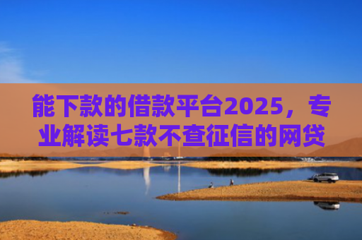 能下款的借款平台2025，专业解读七款不查征信的网贷APP能下款的