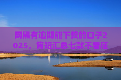 网黑有逾期能下款的口子2025，简短汇总七款不看征信能下款的app2025年