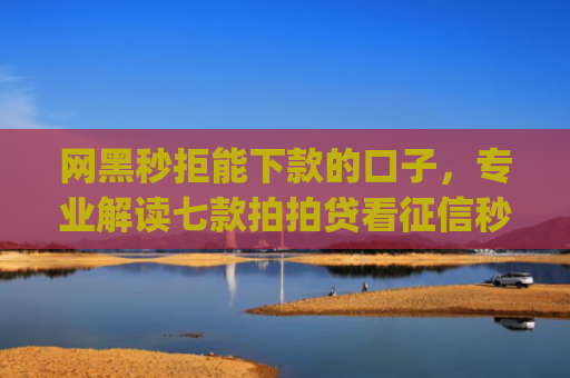 网黑秒拒能下款的口子，专业解读七款拍拍贷看征信秒下款的app