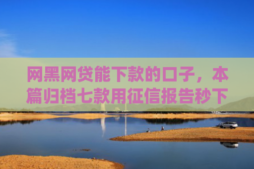 网黑网贷能下款的口子，本篇归档七款用征信报告秒下款的app6