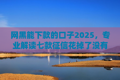 网黑能下款的口子2025，专业解读七款征信花掉了没有一家app下款