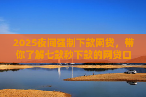 2025夜间强制下款网贷，带你了解七款秒下款的网贷口子大全