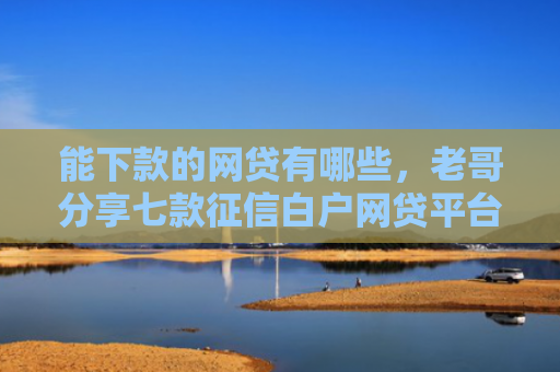 能下款的网贷有哪些，老哥分享七款征信白户网贷平台哪些好下款快