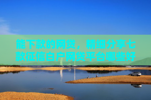 能下款的网贷，精细分享七款征信白户网贷平台哪些好下款