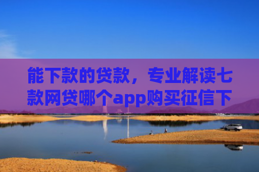 能下款的贷款，专业解读七款网贷哪个app购买征信下款的6