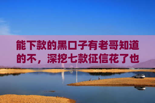 能下款的黑口子有老哥知道的不，深挖七款征信花了也能下款的网贷app
