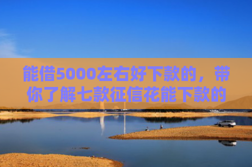 能借5000左右好下款的，带你了解七款征信花能下款的大额网贷