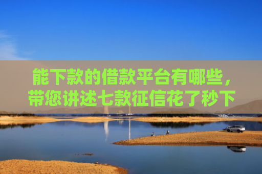 能下款的借款平台有哪些，带您讲述七款征信花了秒下款网贷能通过吗