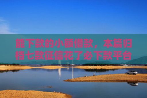能下款的小额借款，本篇归档七款征信花了必下款平台