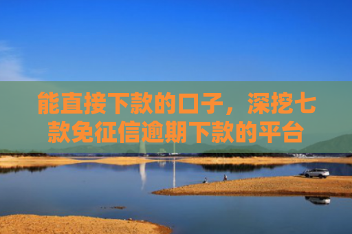 能直接下款的口子，深挖七款免征信逾期下款的平台
