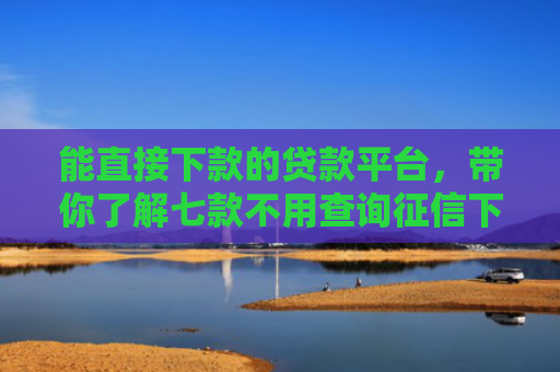 能直接下款的贷款平台，带你了解七款不用查询征信下款平台