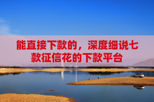 能直接下款的，深度细说七款征信花的下款平台